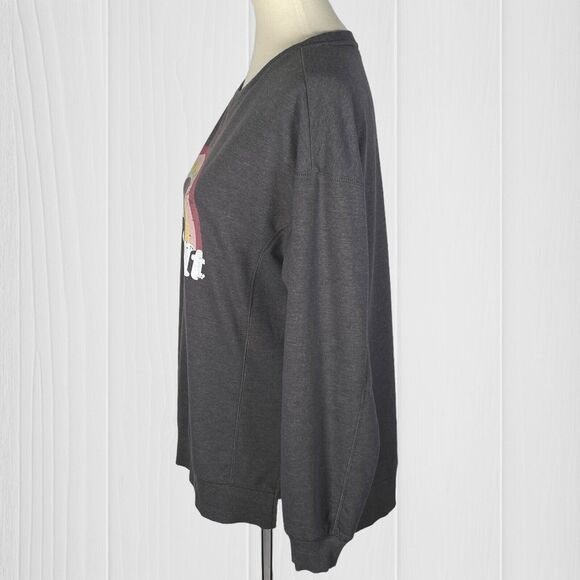 Wildfox Womens Sweatshirt M Gray Easy Does It Rainbow Graphic Sweater Oversized - Picture 3 of 11
